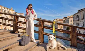 Bringing dog to Venice Italy