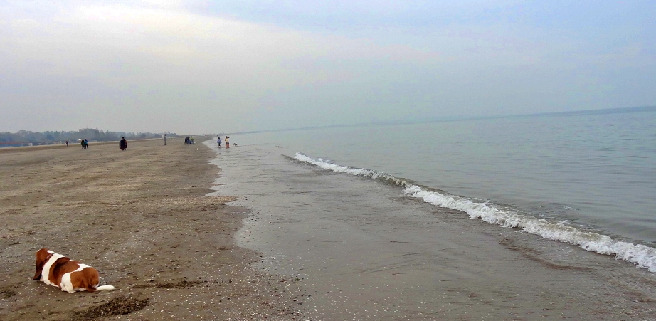 Beach-Lido Beach-Lido