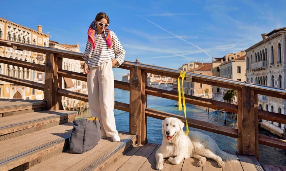 Bringing dog to Venice Italy Bringing dog to Venice Italy