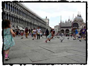 Pigeons in Piazza San Marco chased Pigeons in Piazza San Marco chased